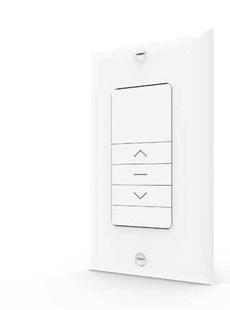 Paradigm 2 Channel Cut in Wall Switch2