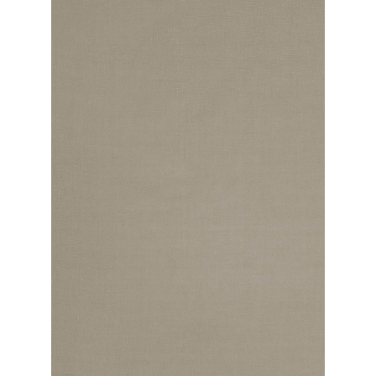 Cameo Ambienti Drapery Fabric