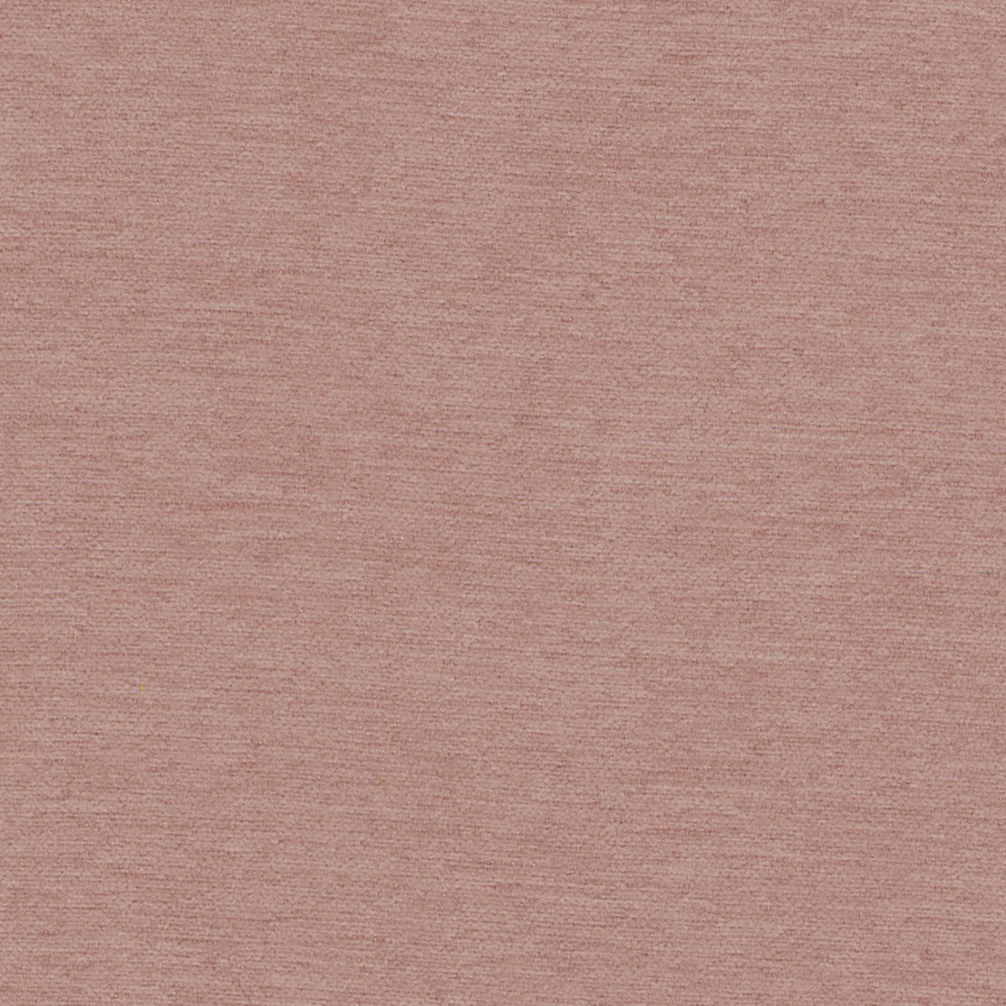 Sweet Pea Woven, Samson Performance