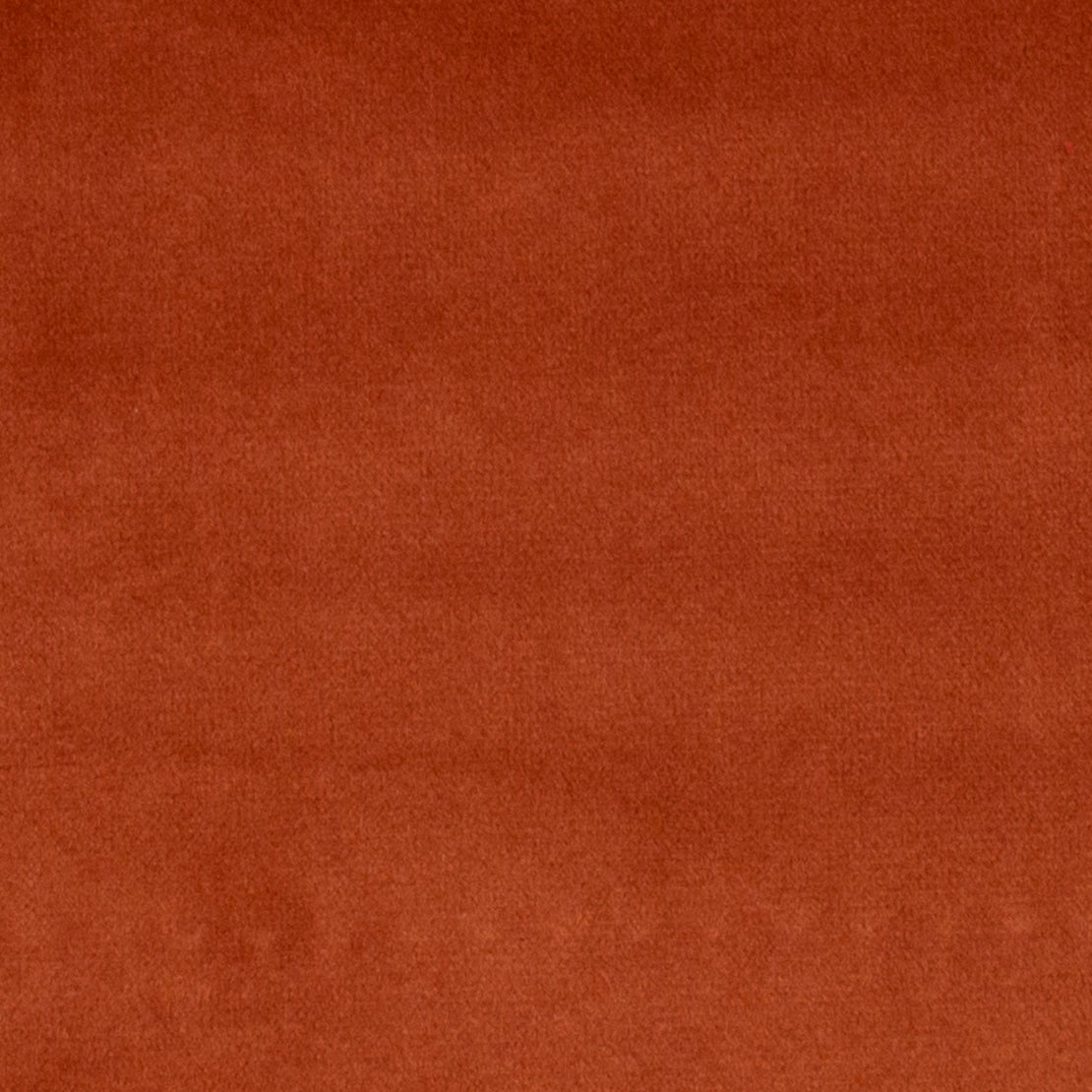 Terracotta Velvet