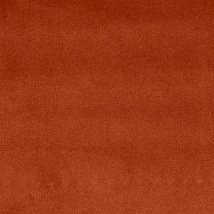 Terracotta Velvet