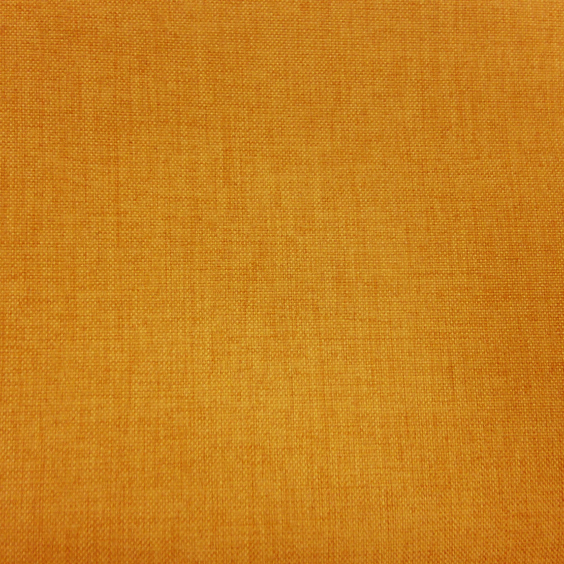 Anopsia Mustard Blackout Drapery Fabric