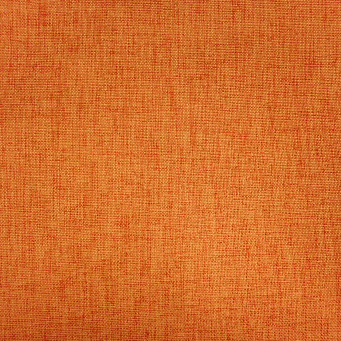 Anopsia Papaya Blackout Drapery Fabric
