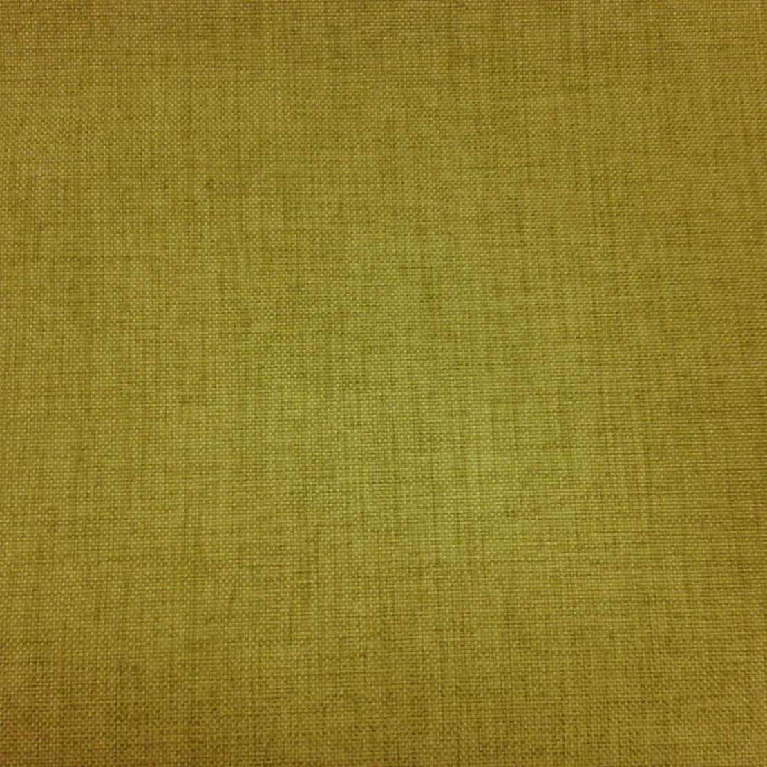 Anopsia Pesto Blackout Drapery Fabric