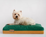 It is a West Highland White Terrier laying on a dog bed brand ‘slapia nosis’ wetnosedog. Šuns guolis ‘šlapia nosis’ ir šuo gulintis ant jo