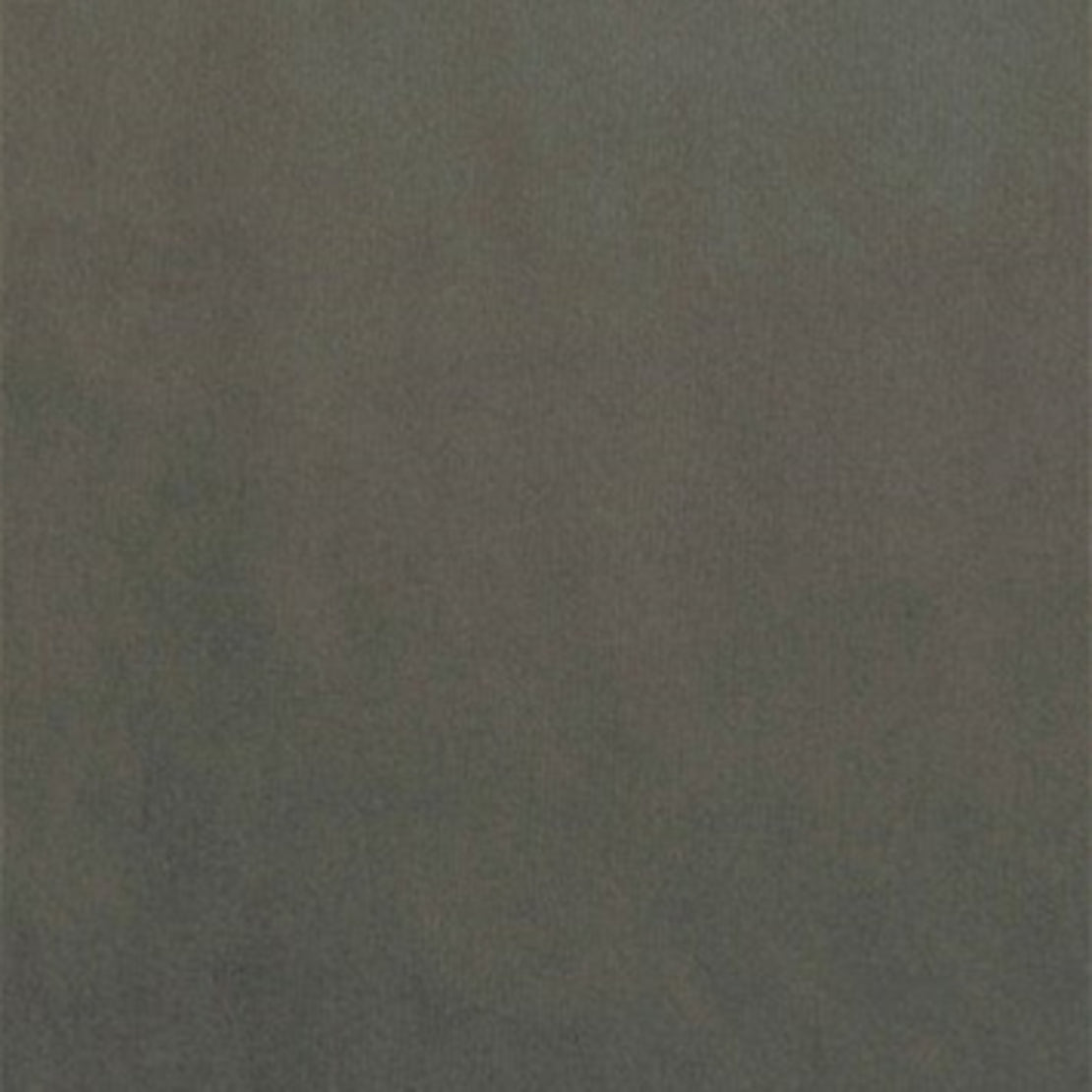 Dolphin 10 Velvet