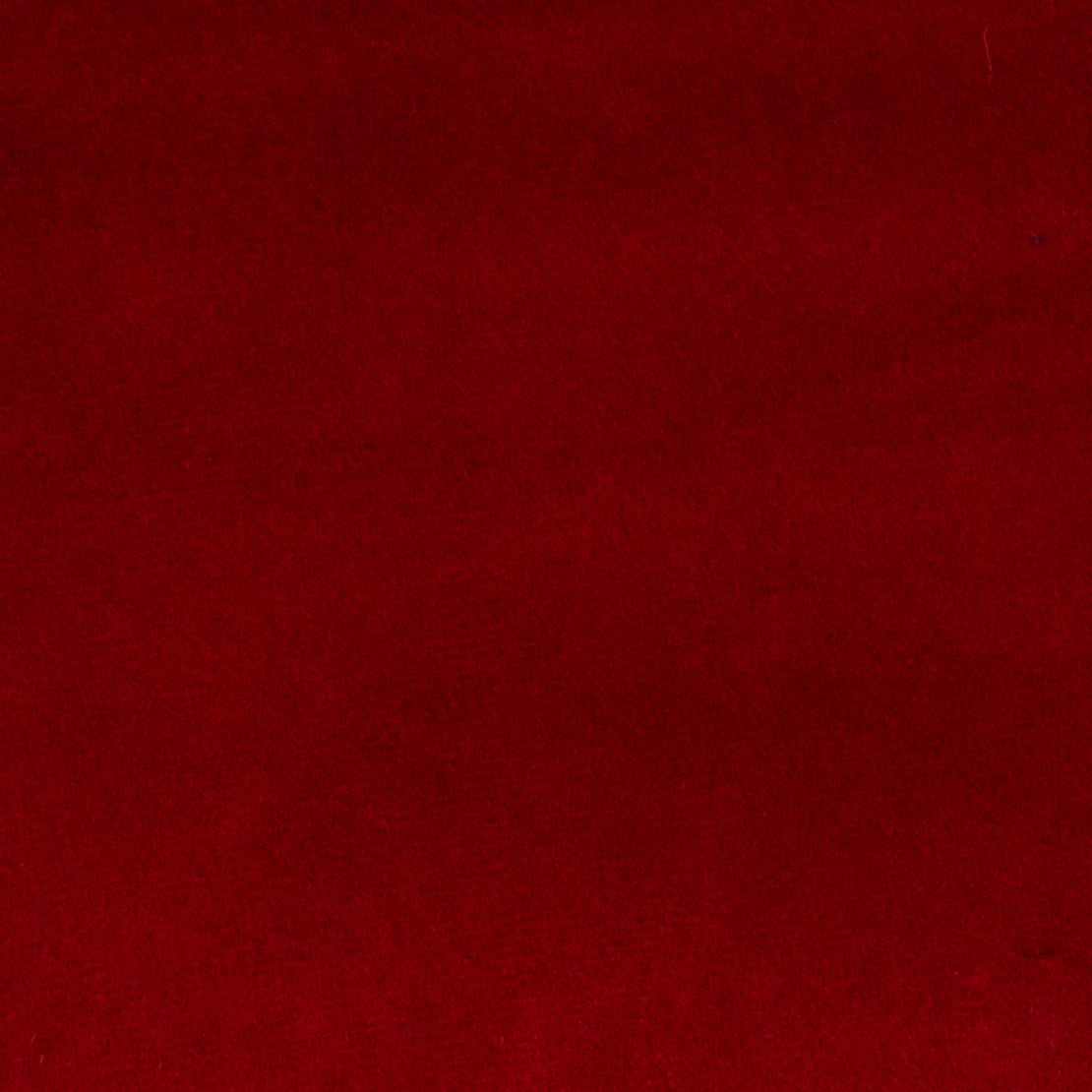 Coral Velvet