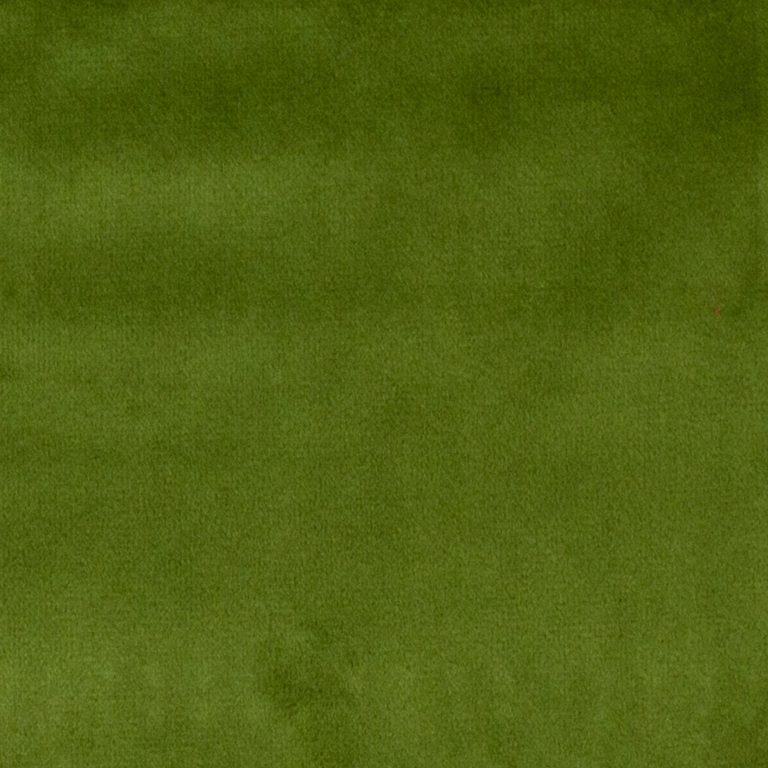 Grass Velvet