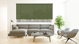 Transparent Roller Blinds | Grassy Green