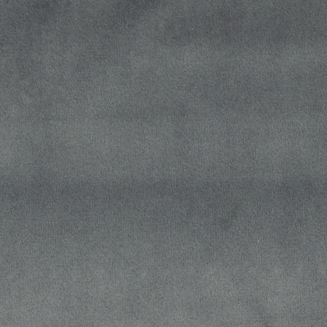 Gray Velvet