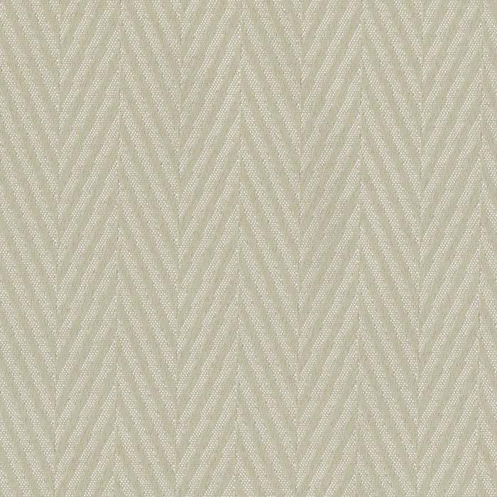 Prosaic Parchment Blackout Drapery Fabric