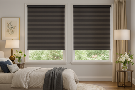 $50 Off Banded Zebra Shades