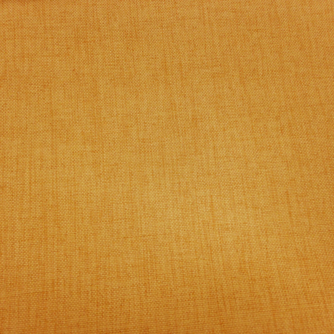 Anopsia Honey Blackout Drapery Fabric