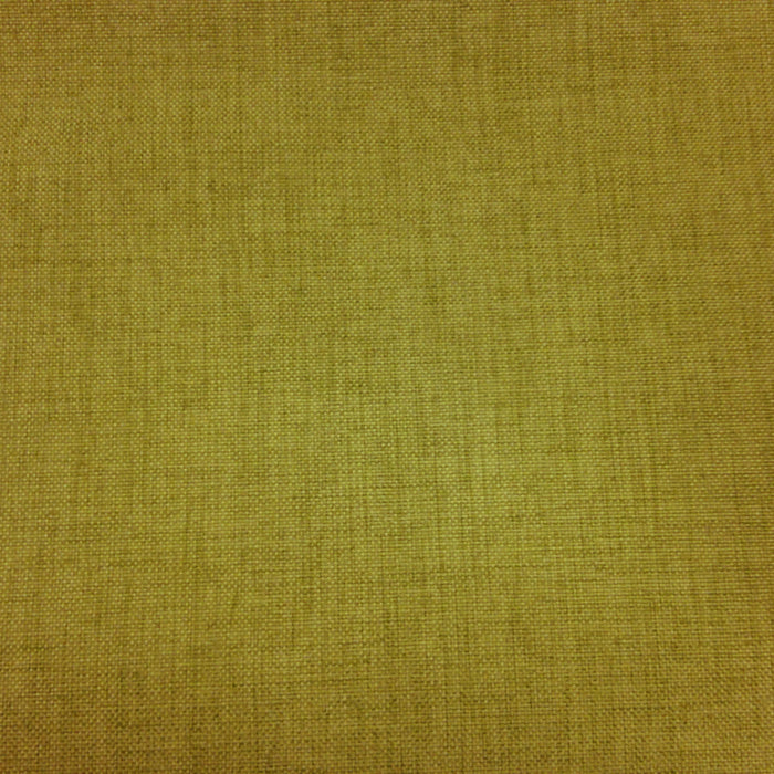 Anopsia Pesto Blackout Drapery Fabric