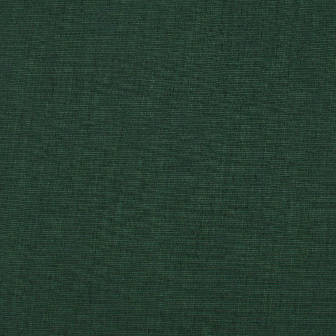 Forest -Theroy - 